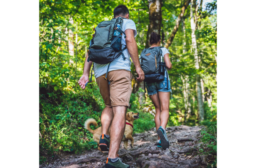 walking in the woods